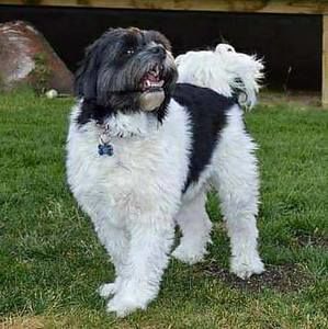 Meet your Posher, Stacy